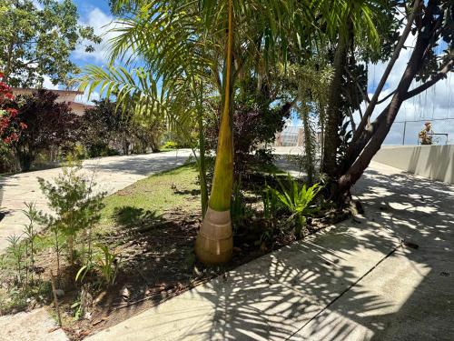 Imagen de la galería de Vive el encanto del campo, en Cidra