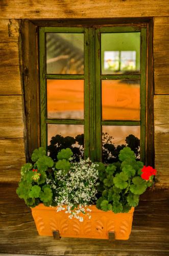 a window with a pot of flowers on a window sill at Penzion Park in Laško