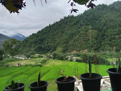 Φυσικό τοπίο κοντά σε αυτό το δωμάτιο σε οικογενειακή κατοικία