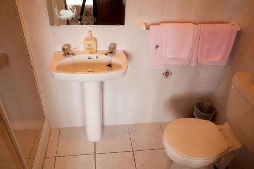 a bathroom with a sink and a toilet at Atlantic View B&B in Liscannor