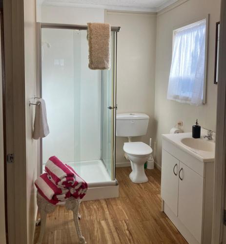 a bathroom with a shower and a toilet and a sink at 1 min walk to beach, tidy & comfortable in Karikari Peninsula