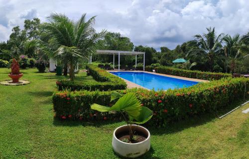 a garden with a swimming pool and a plant at Orchidilla Residence Phuket Mai Khao Beach - SHAPlus in Mai Khao Beach