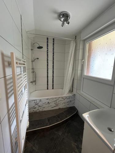een badkamer met douche en ligbad bij Colmar joli petit appartement in Colmar