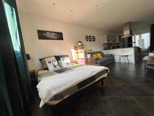 Colmar joli petit appartement