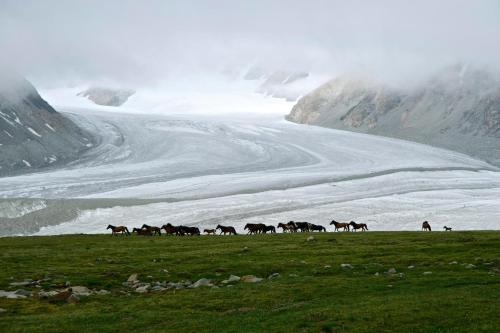 Gallery image of Adventure Riders Mongolia in Ulaanbaatar