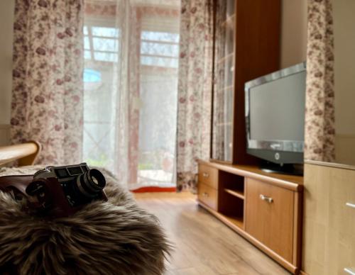 eine Kamera, die auf einem Sofa vor einem Fernseher sitzt in der Unterkunft Cottage Apartman Gyula in Gyula