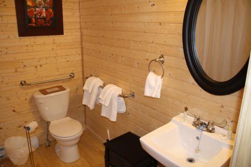 a bathroom with a toilet and a sink and a mirror at The Country Inn Cottage in Gander
