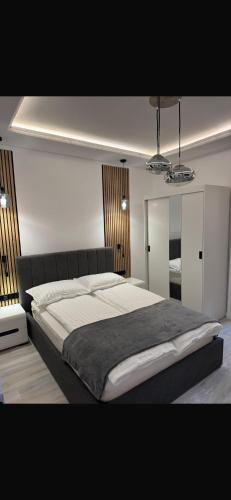 ein Schlafzimmer mit einem großen Bett in einem Zimmer in der Unterkunft Two Residence in Satu Mare