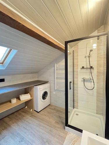 a bathroom with a shower and a washing machine at Résidence Victoria in Vichy