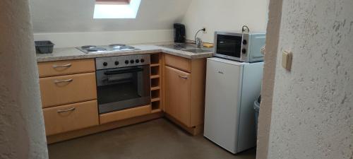 a small kitchen with a stove and a microwave at Peter in Michelstadt