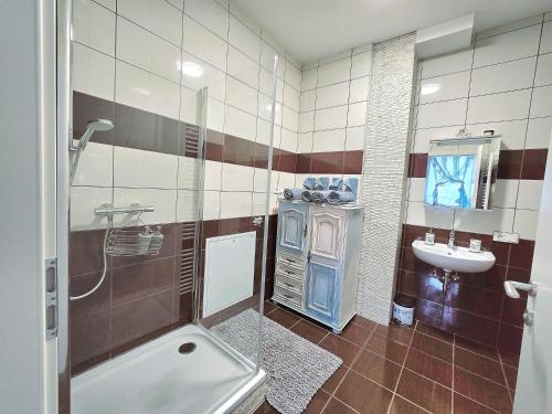 a bathroom with a shower and a sink at Kunst Apartment im Schwalbenhaus in Spitz