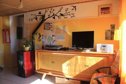 a desk with a television and a tree on the wall at Ap-Art in La Seu d'Urgell