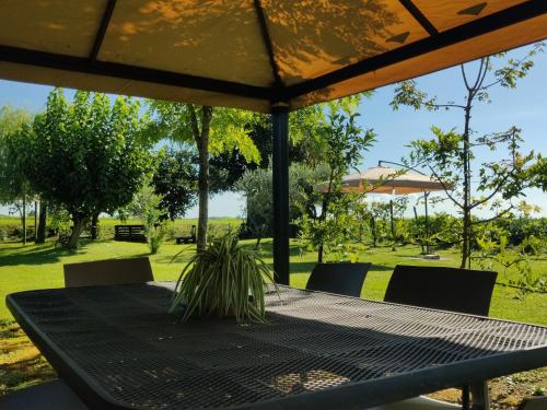 une table avec une plante en pot en haut dans l'établissement Villa Serena, secret garden - 7 min Noventa Outlet, à Santa Maria di Campagna