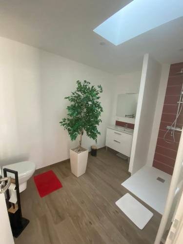 a bathroom with a toilet and a tree in it at maison la rochelle 3 étoiles in Marsilly