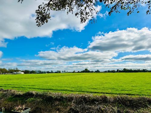 Příroda nedaleko bed and breakfast