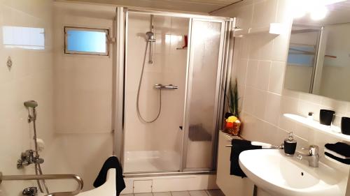 un bagno con doccia e lavandino di Ferienwohnung Schäfer a Steinau an der Straße