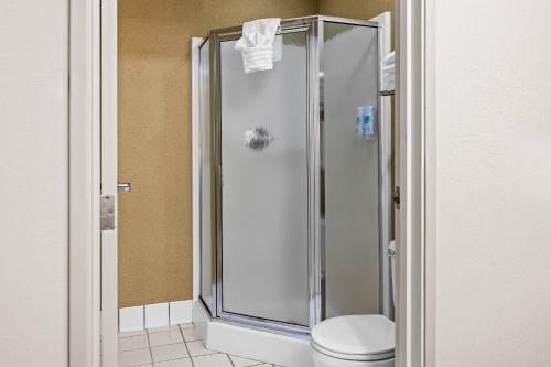 トラバースシティにあるComfort Inn Traverse Cityのバスルーム(シャワー、トイレ付)