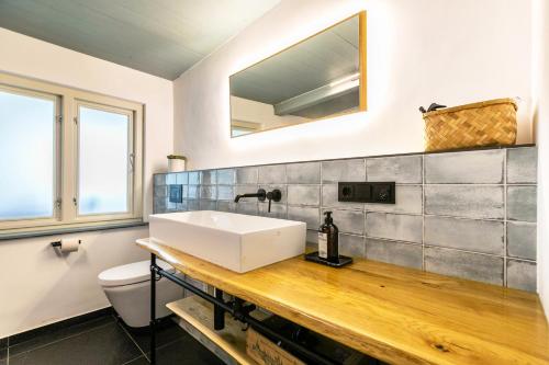 une salle de bain avec un lavabo et des toilettes dans l'établissement Reetkate Hemme, à Hemme