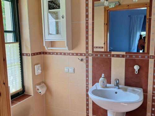a bathroom with a sink and a mirror at FeWo Wichmann in Zehna