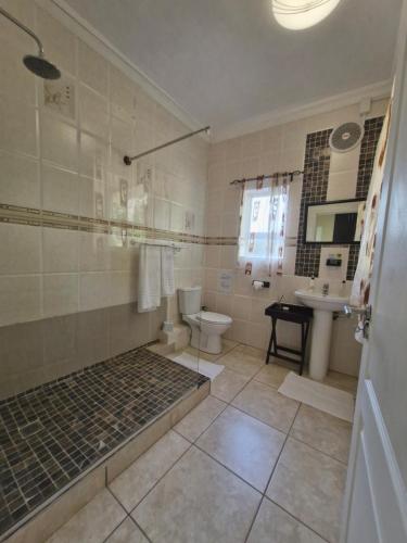 a bathroom with a shower and a toilet and a sink at Lumley's Place Guesthouse in Pniel