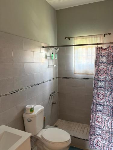 a bathroom with a toilet and a shower at Cozy Retreat in Gated Portmore Country Club in Portmore