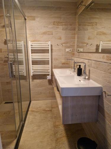 a bathroom with a sink and a shower at Kaapsduun 06 in Nes