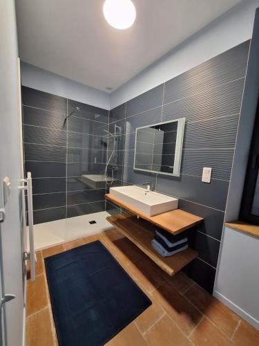 a bathroom with a sink and a mirror at Le pigeonnier de Pauly in Mirabel