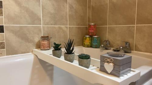 a bathroom with a shelf with plants and a sink at Pennethorne Apartment in Clooney Park