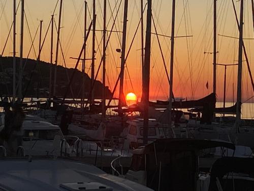 a group of boats docked in a marina at sunset at Vojko Holidays in Koper