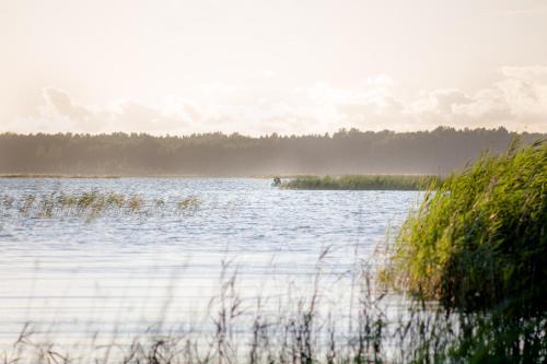 a large body of water with grass in the foreground at Ermistu Puhkeküla in Ermistu