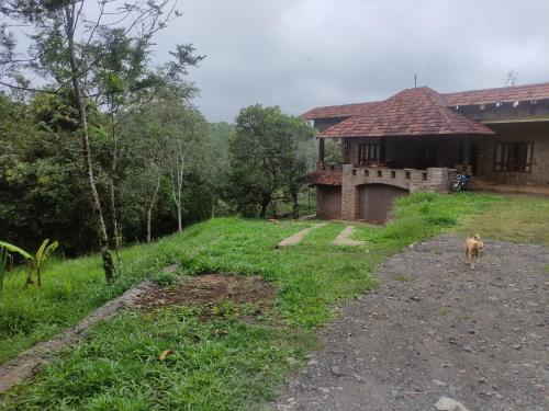 a dog standing in front of a house at Misty Views Homestay in Thekkady