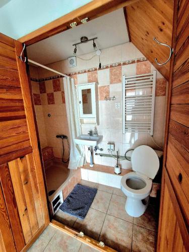 a small bathroom with a toilet and a sink at Chata u Vachtů in Kubova Huť