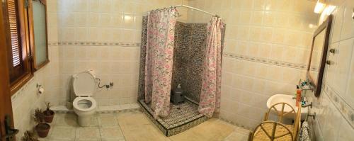 a bathroom with a shower with a toilet in it at Younes résidence 3 in Asilah