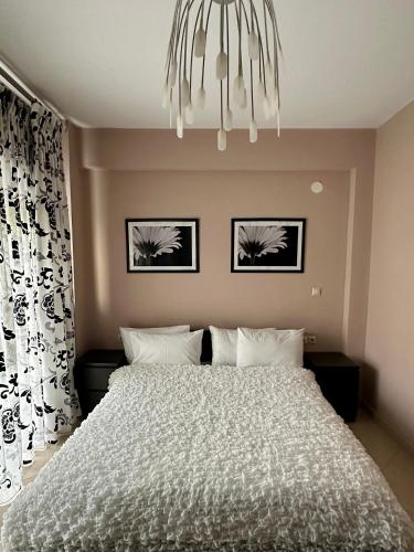 REM Apartments