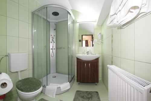 a bathroom with a shower and a toilet and a sink at Pensiunea Muresul in Târgu-Mureş