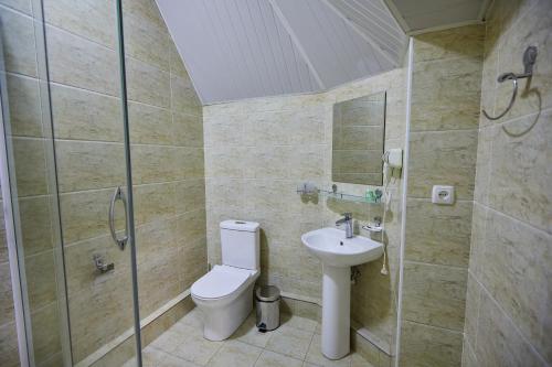 a bathroom with a toilet and a shower and a sink at Elite art hotel in Tashkent