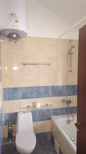 a bathroom with a toilet and a shower and a tub at Borovets Apartments, Flora Violet Residence in Borovets
