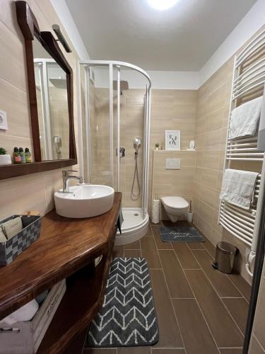 a bathroom with a sink and a shower and a toilet at Diófás Ház in Siklós
