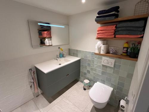 a bathroom with a sink and a toilet at Fraaie familiebungalow op heerlijk rustige plek in Ouddorp