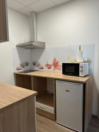 a kitchen with a counter with a microwave on it at Apartma Center Ljutomer in Ljutomer