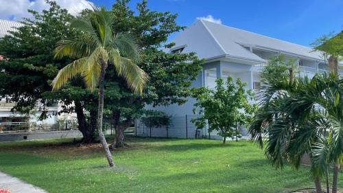 a palm tree in front of a white house at Beachfront Studio in Marigot