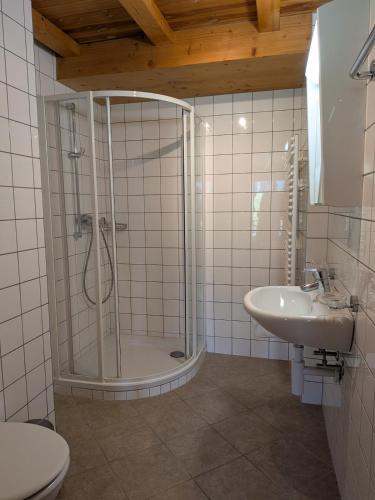 a bathroom with a shower and a sink at Sundance 5 in Les Crosets