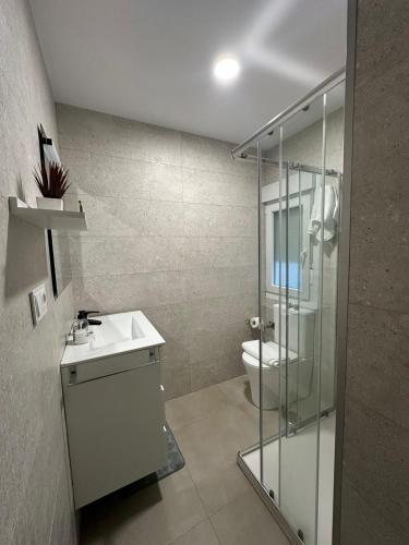 a bathroom with a shower and a sink and a toilet at Piso Bedoya in Ourense