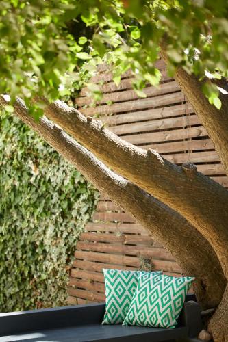 a pillow sitting on a bench under a tree at Bayflowers Guest House in Cape Town