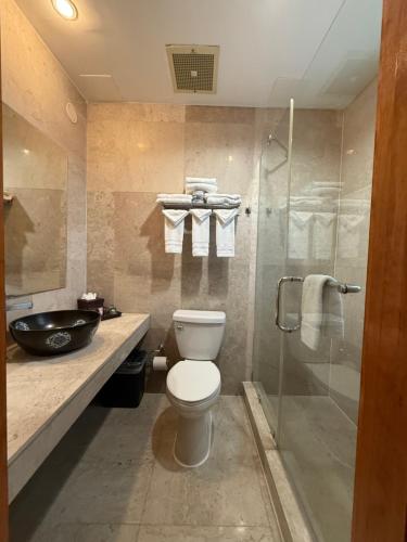 a bathroom with a toilet and a glass shower at The Eldon Luxury Suites in Washington