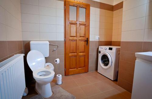 a bathroom with a toilet and a washing machine at Csilla Vendégház Remete in Remetea