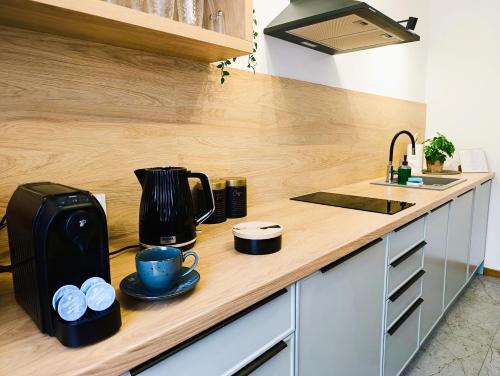 オルシュティンにあるKolory Warmii Apartamenty Biały i Szaryのキッチン(コーヒーメーカー、コーヒーポット付)