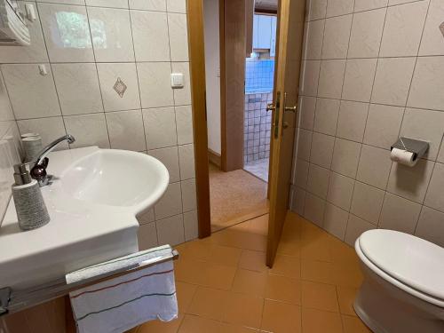 a bathroom with a sink and a toilet at Bergmanns Ferienapartment in Debant