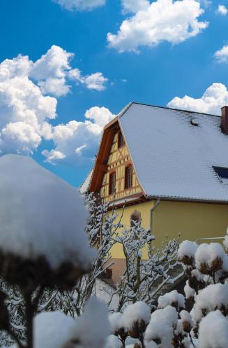 Maison d'hôtes Chez Christelle - Proximité Route des vins d'Alsace