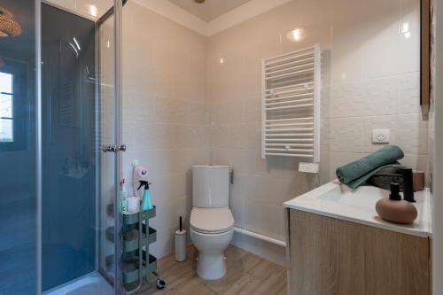 a bathroom with a toilet and a shower at Le Reflet de la Motte - Avec terrasse in Le Bois de Cise